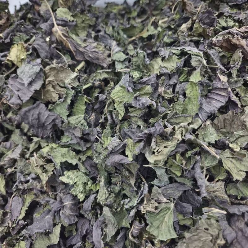 中药材紫苏叶香苏叶干紫苏叶干货烧鱼虾蟹去腥包邮