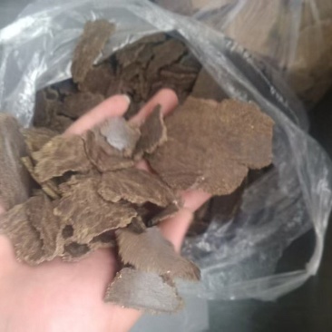 养殖户专用棉籽饼，价格优惠