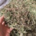 蒲公英泡水婆婆丁晒干