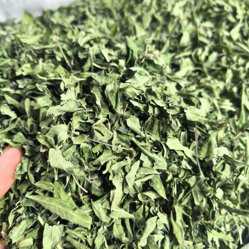 新货原叶罗布麻中药材筛选正品纯无硫罗布麻叶罗布麻茶叶