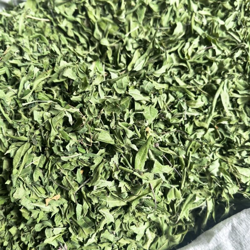 新货原叶罗布麻中药材筛选正品纯无硫罗布麻叶罗布麻茶叶