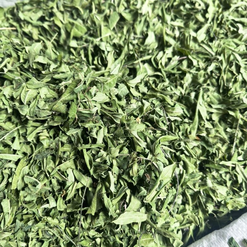 新货原叶罗布麻中药材筛选正品纯无硫罗布麻叶罗布麻茶叶