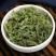 中药材伸筋草筋骨草新货透骨草舒筋草石松狮子多规格