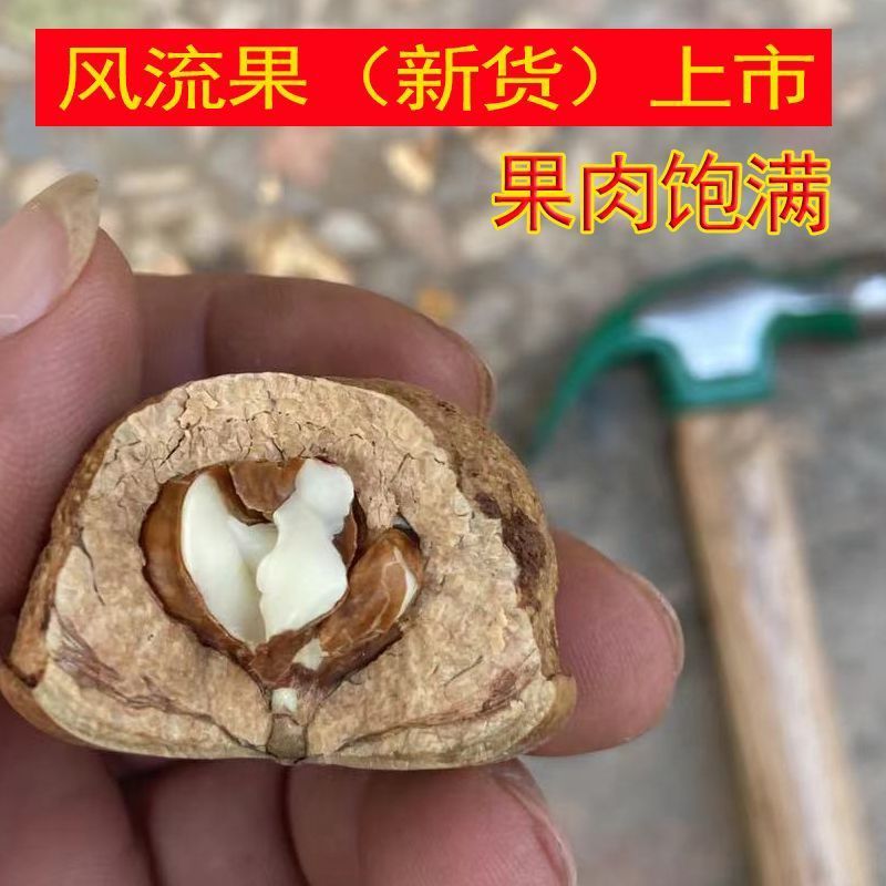 广西风流果新货石头果大果精选益肾子料双肾无硫泡酒风流子