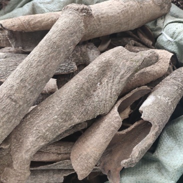 救必应薄皮王老吉新鲜干货500g包邮品种齐全热卖