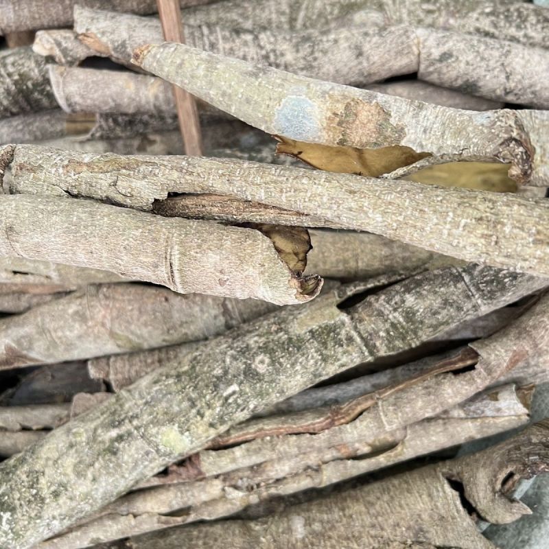 救必应薄皮王老吉新鲜干货500g包邮品种齐全热卖