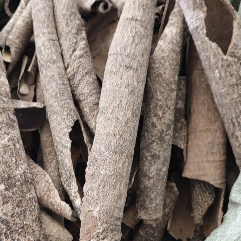 救必应薄皮王老吉新鲜干货500g包邮品种齐全热卖