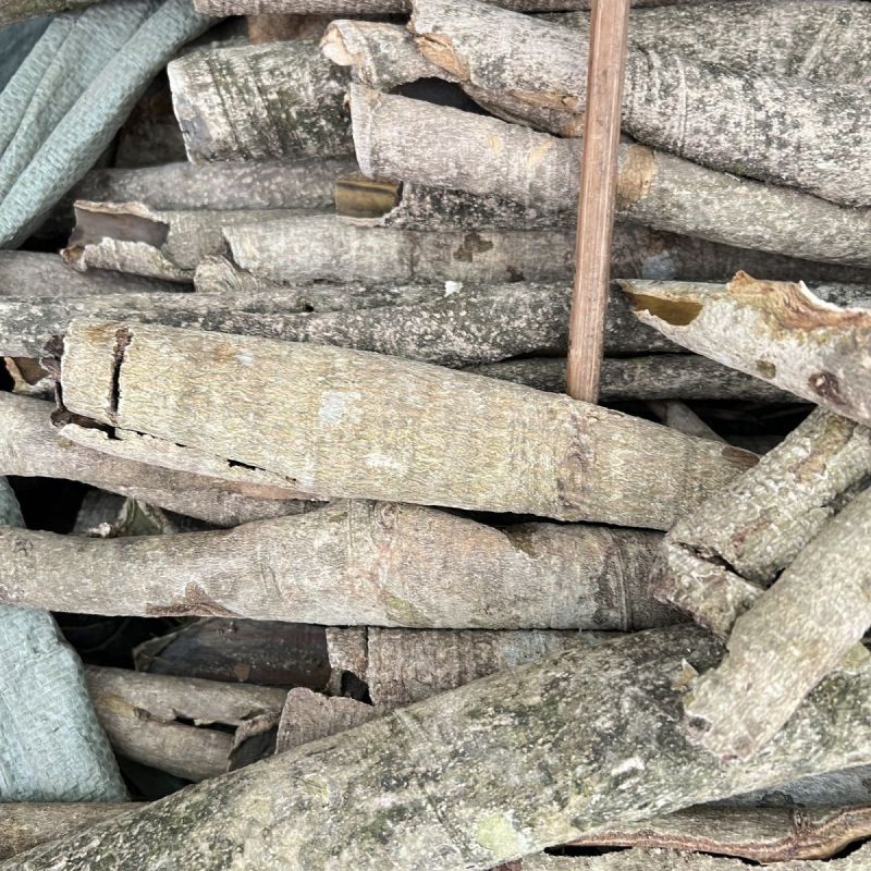 救必应薄皮王老吉新鲜干货500g包邮品种齐全热卖