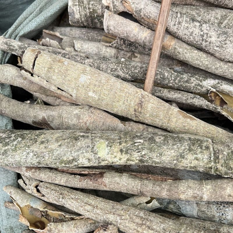 救必应薄皮王老吉新鲜干货500g包邮品种齐全热卖