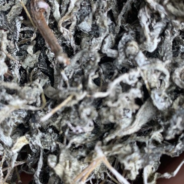 野生莓茶野生藤茶龙须茶，支持一件代发和整件拿货