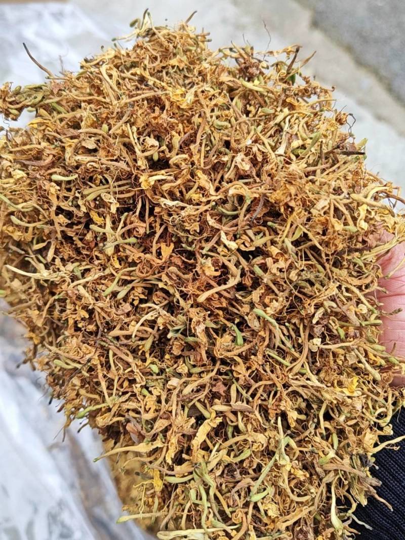 上等金银花批发防风产地直发量大从优对接全国各地客商