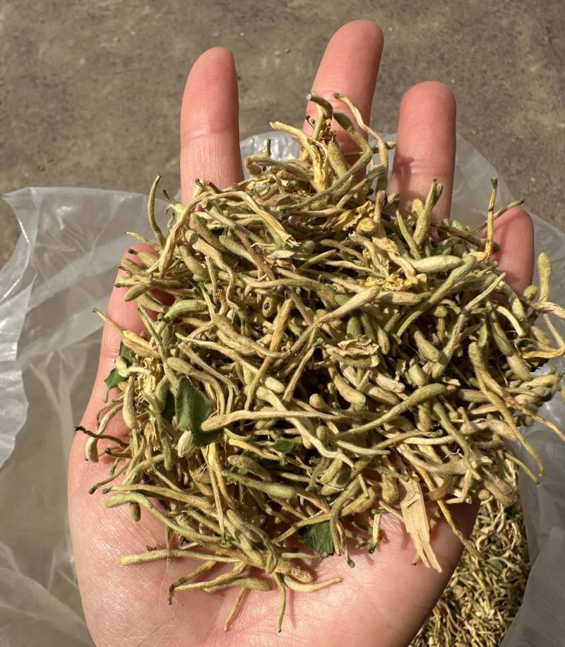 上等金银花批发防风产地直发量大从优对接全国各地客商
