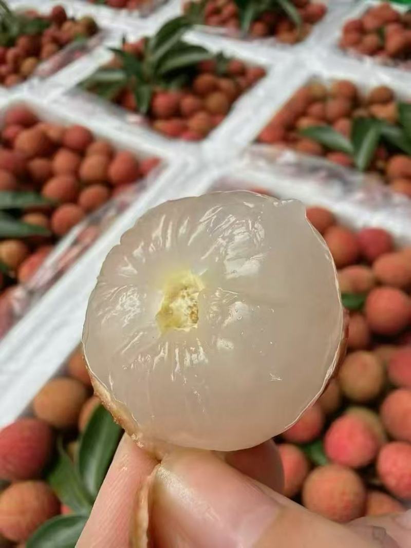 白糖罂荔枝，爽脆多汁、甜而不腻，无涩味。产地直发！