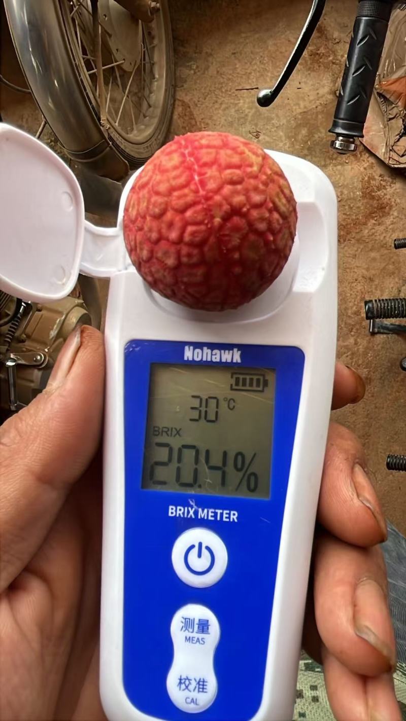 白糖罂荔枝，爽脆多汁、甜而不腻，无涩味。产地直发！