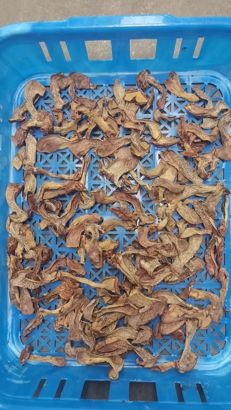 人工见手青干片黄牛肝，无毒无沙无虫，菌香味浓郁！