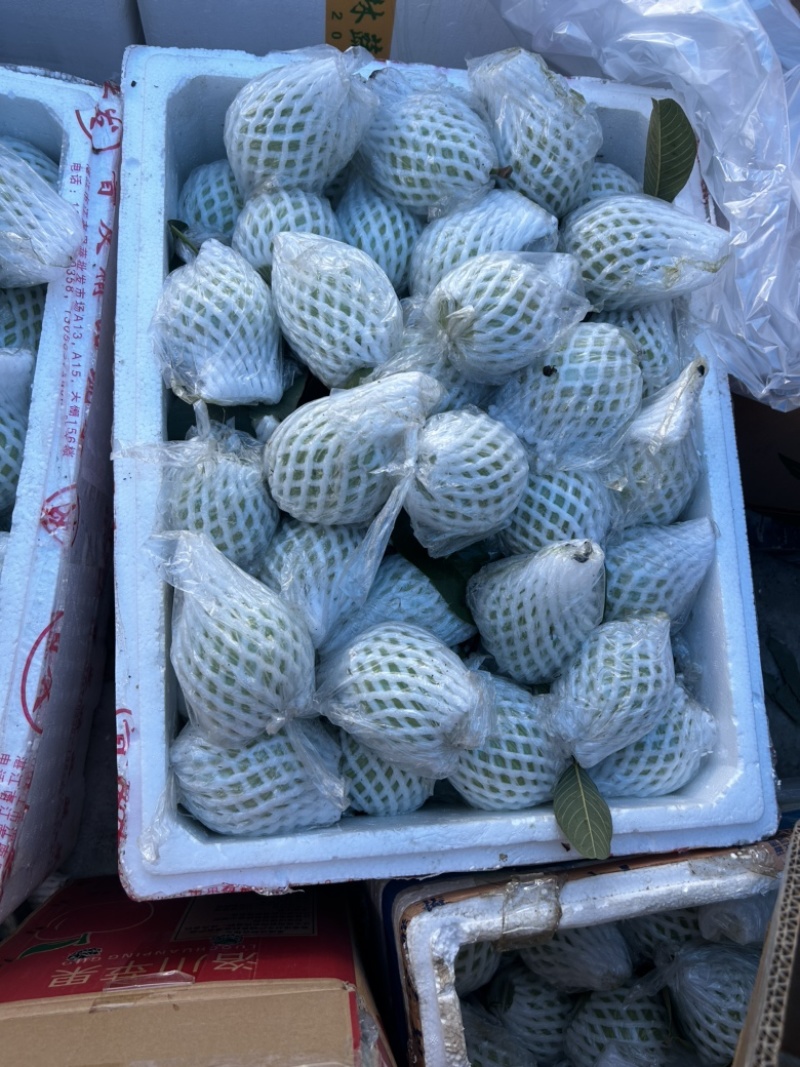 番石榴芭乐