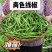 湖北高山3号线椒软皮线椒大量上市基地直发保质保量对接商超
