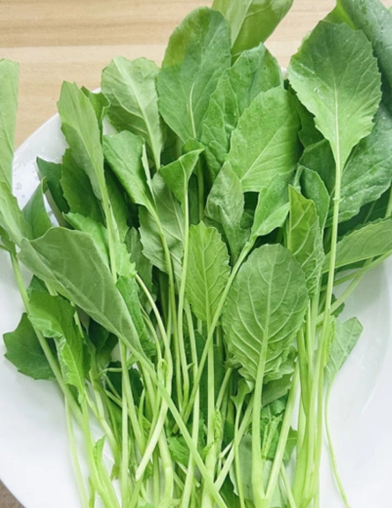 芥兰苗可批发，都是当天新鲜的，质量嘎嘎好，可视频看