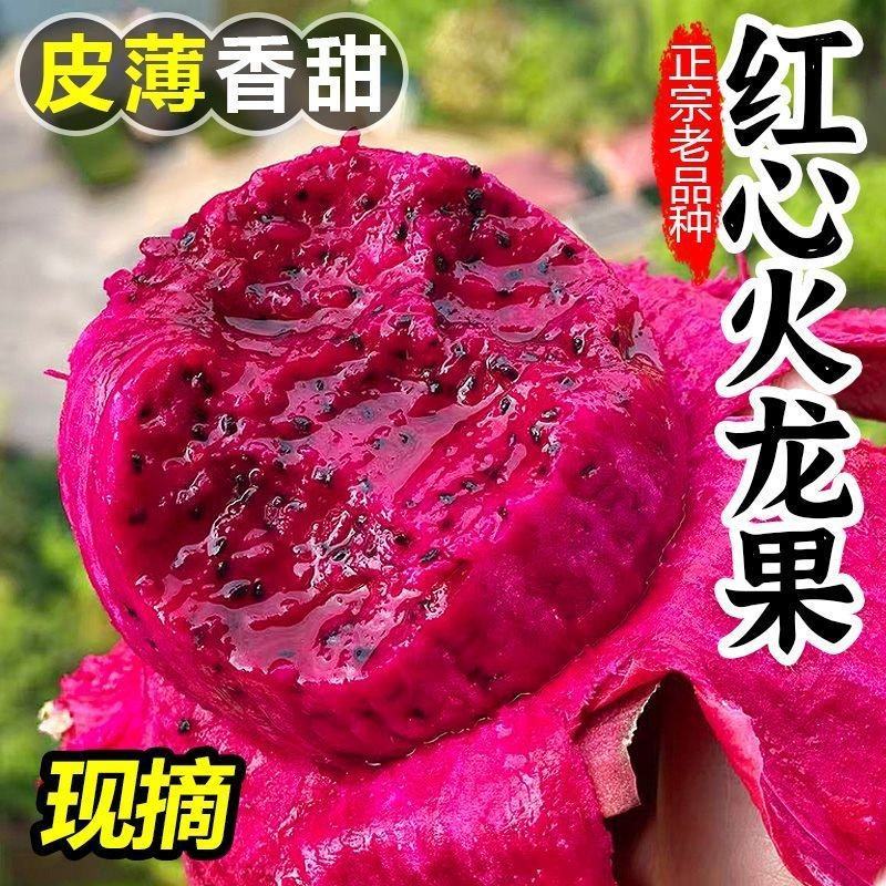 正宗金都一号红心火龙果电商一件代发团购批发
