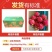 正宗金都一号红心火龙果电商一件代发团购批发