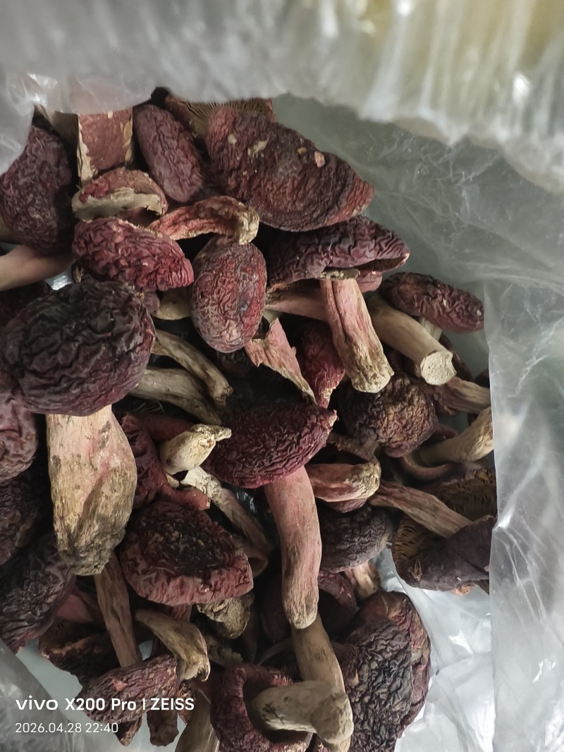 纯野生自采烘干红菇