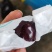 汉源套袋黑珍珠