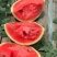 甜王西瓜，陕西甜王西瓜，无籽西瓜🍉，产地直发🍉