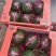 甜王西瓜，陕西甜王西瓜，无籽西瓜🍉，产地直发🍉