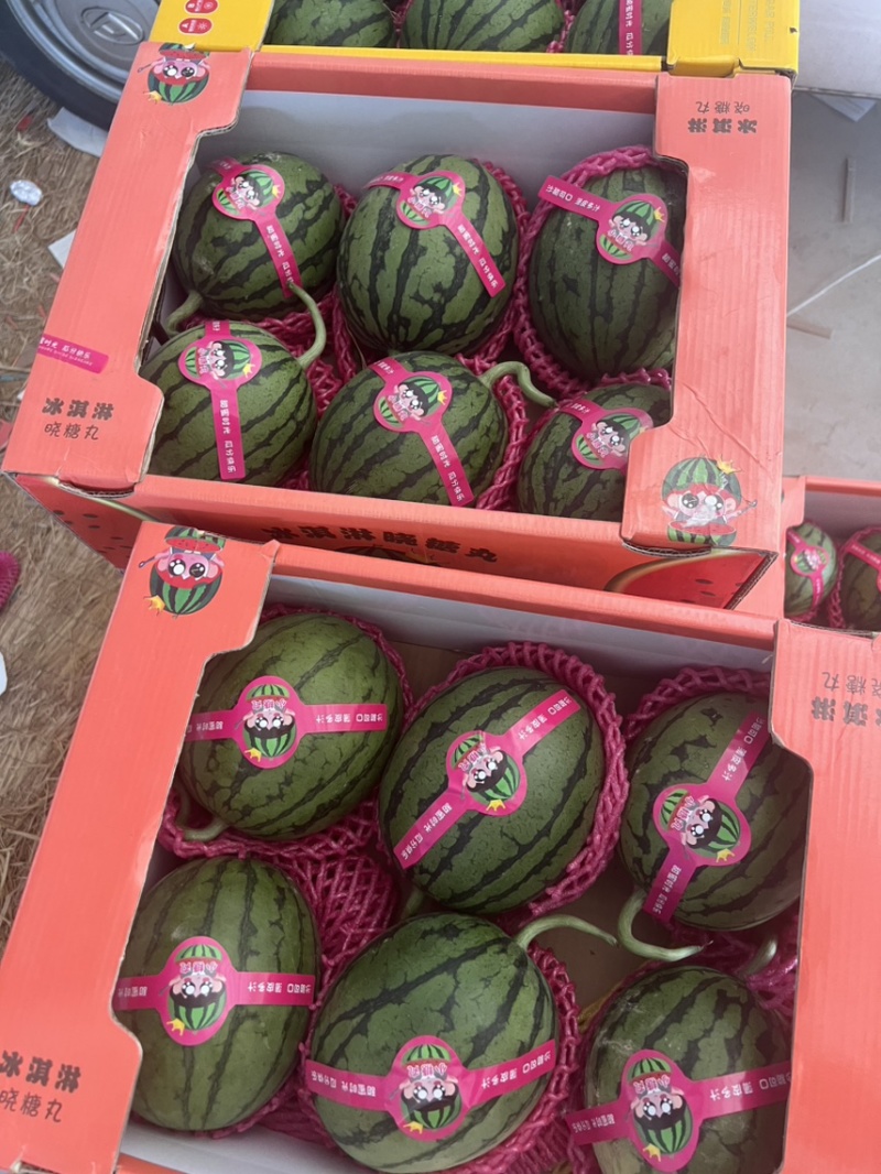 甜王西瓜，陕西甜王西瓜，无籽西瓜🍉，产地直发🍉
