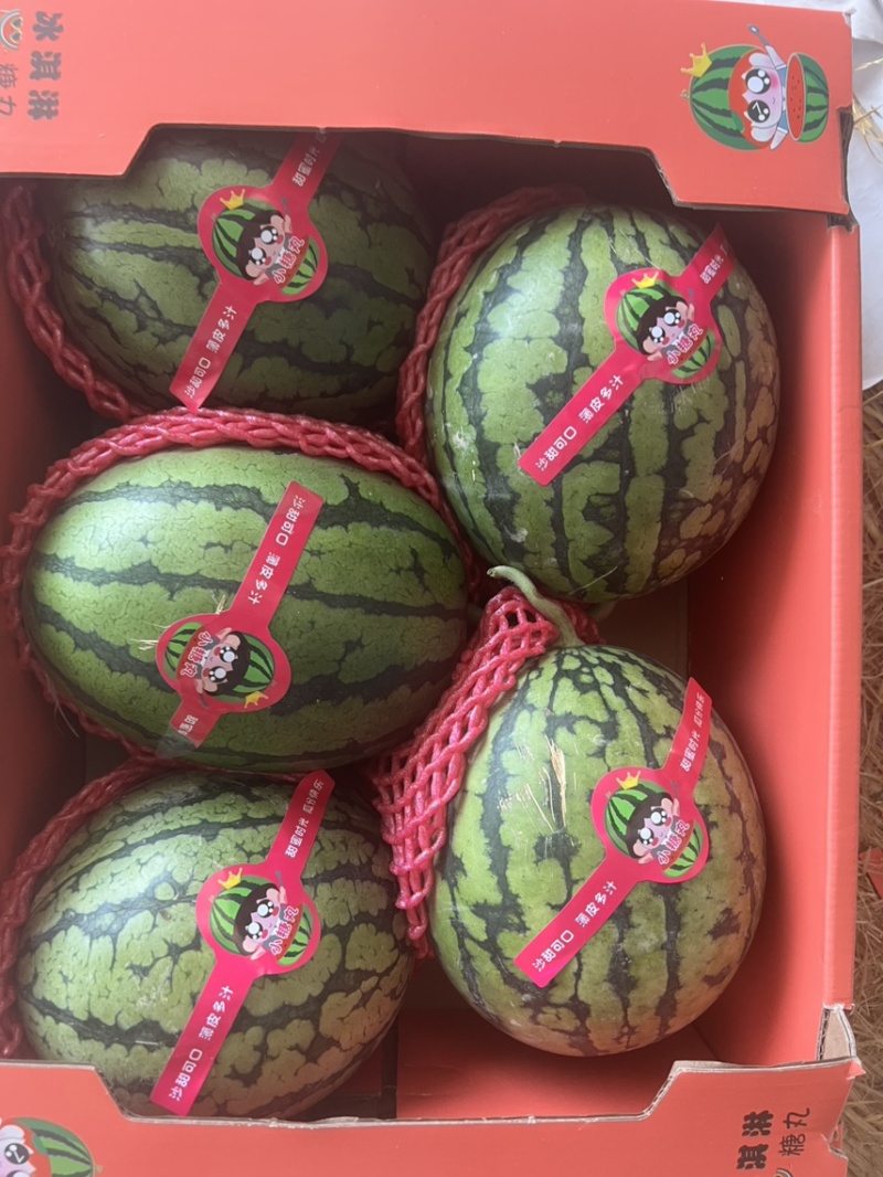 甜王西瓜，陕西甜王西瓜，无籽西瓜🍉，产地直发🍉