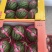 甜王西瓜，陕西甜王西瓜，无籽西瓜🍉，产地直发🍉