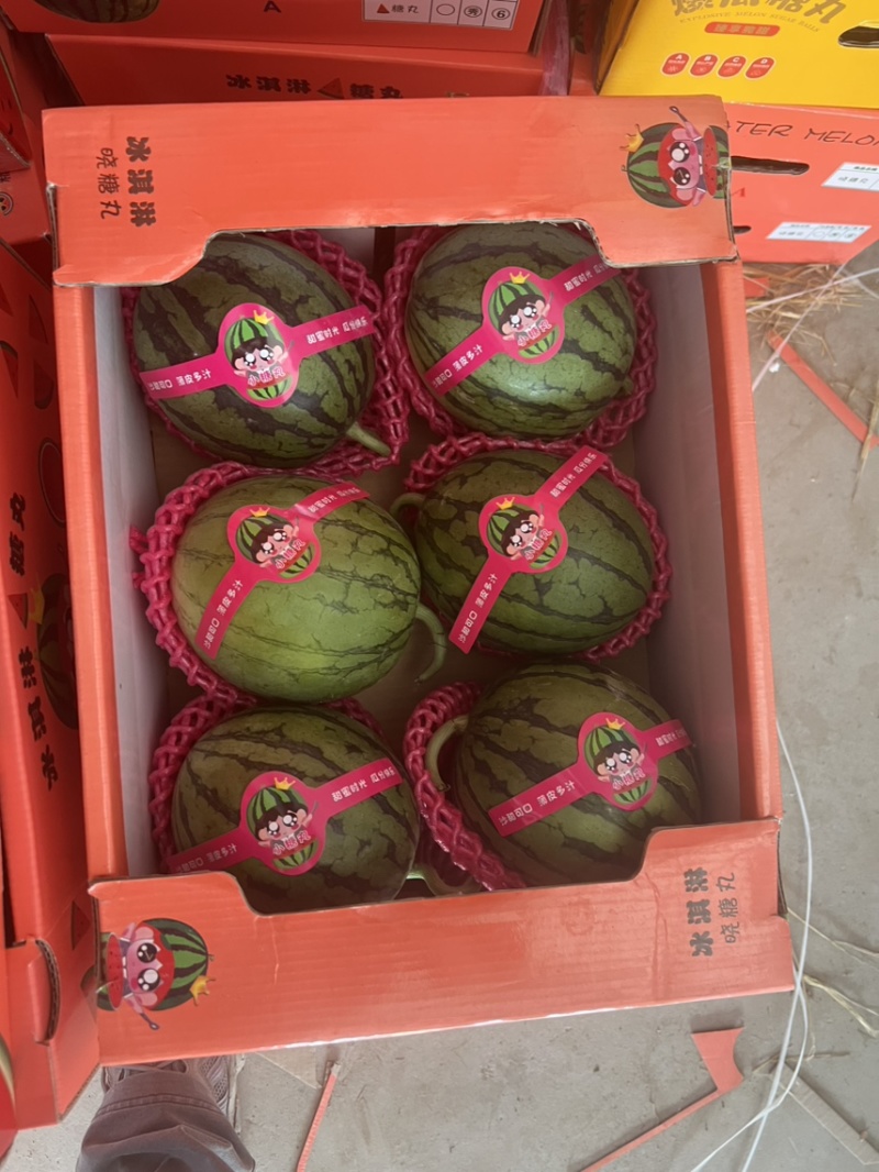 甜王西瓜，陕西甜王西瓜，无籽西瓜🍉，产地直发🍉
