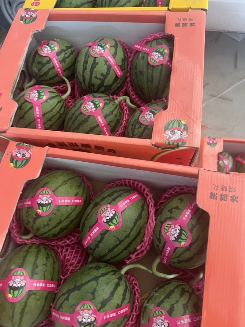 甜王西瓜，陕西甜王西瓜，无籽西瓜🍉，产地直发🍉