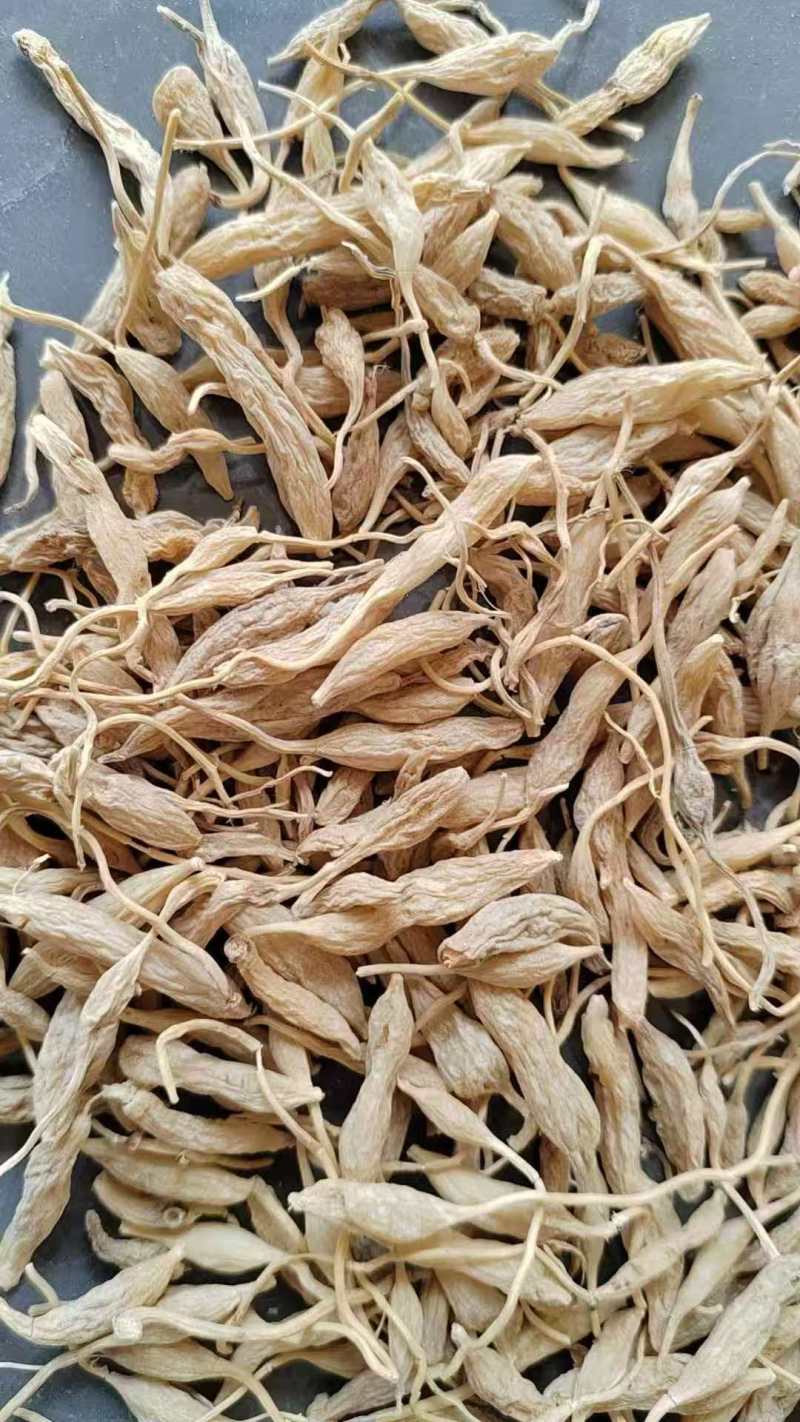 中药材麦冬