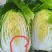 黄心菜玲珑黄秋黄亮玲珑