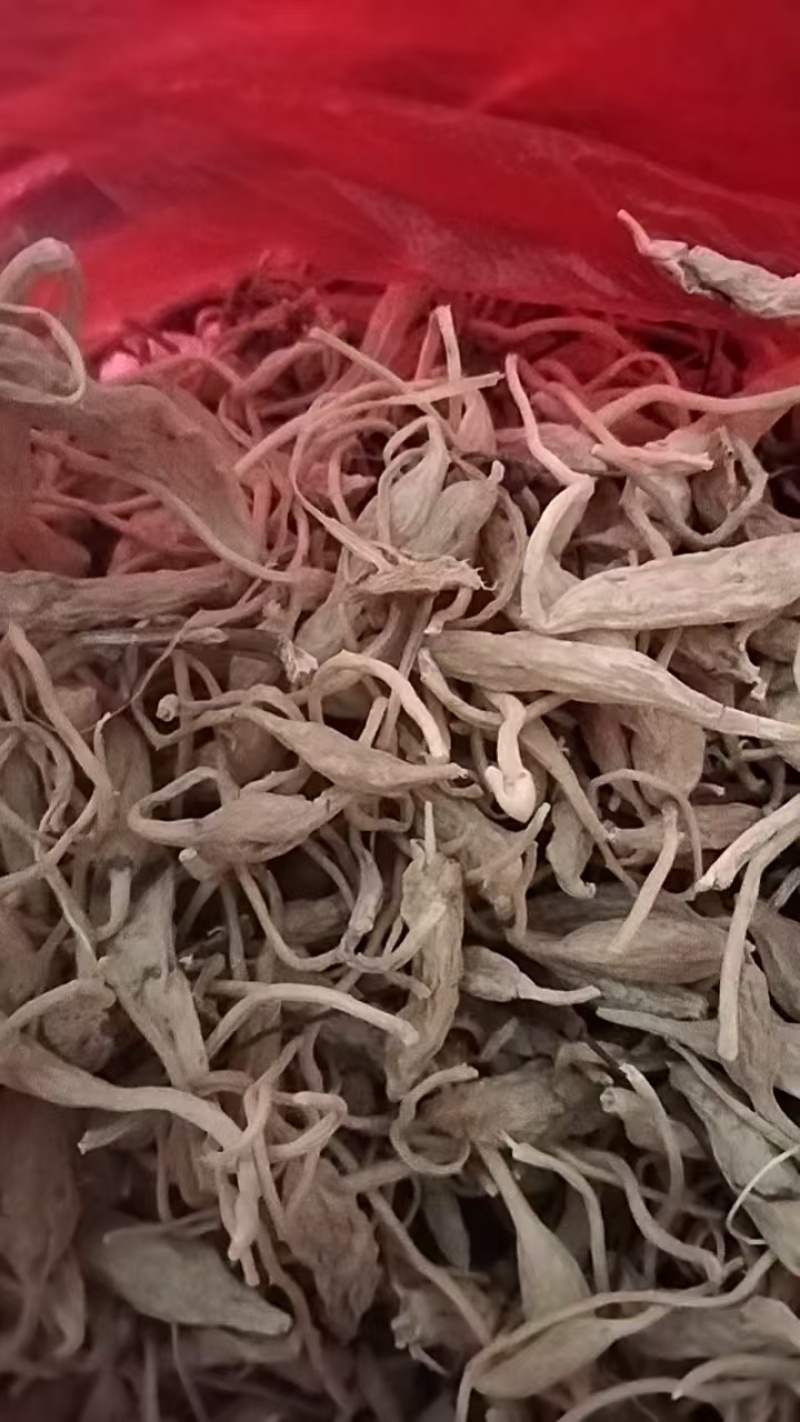 品质保证的正宗麦冬自产自销长期稳定供应