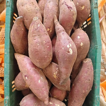 榴莲蜜薯