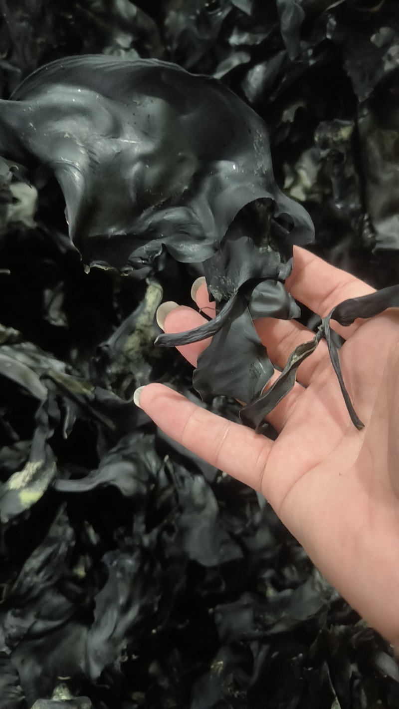 烘干海带头