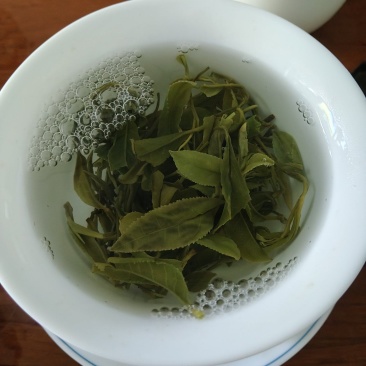 日照绿茶