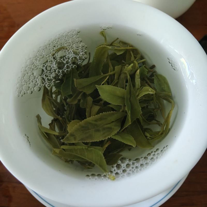 日照绿茶