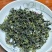 日照绿茶