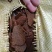 小榨菜籽油枯