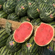 甜王西瓜有籽甜王无籽甜王大量上市对接电商各大市场