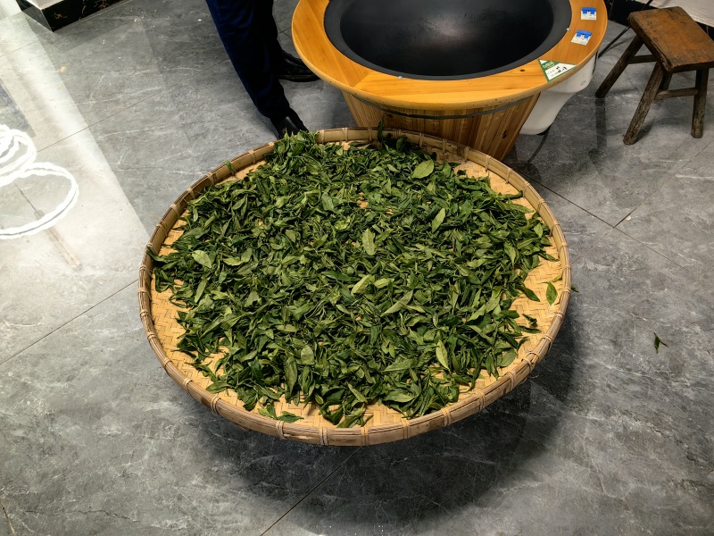 原生态天然野生茶园人工除草茶园