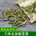 （包邮）新货野生鬼针草正宗三叶鬼针草干有杆中药材鬼针草