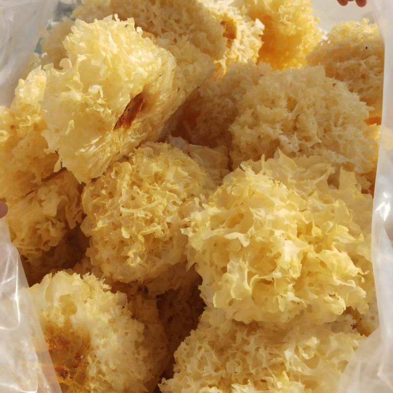 山东雪花银耳常年供应，品相完整如图，出胶率高无熏出口品质