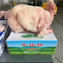 精品全羊全国发货
