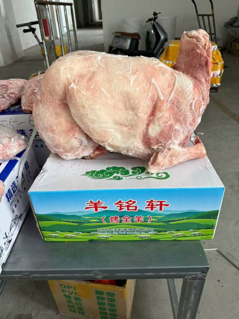 精品全羊全国发货
