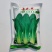 鸡毛菜种子