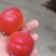 阳红一号杏！！！产地直采！！！纯甜！！！